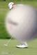 Avatar de Usuario